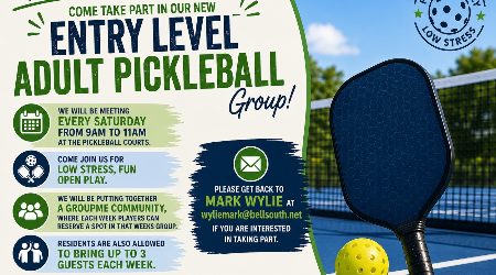 Entry-Level Adult Pickleball - Sat. 9-11am